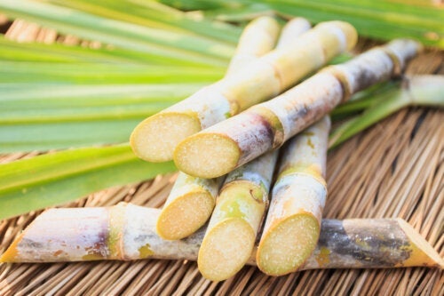 Захарна тръстика: хранителна стойност и свойства