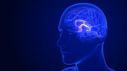 6 начина да стимулирате здравословното функциониране на хипоталамуса