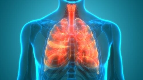 Белодробният микробиом: Стерилни ли са белите дробове?