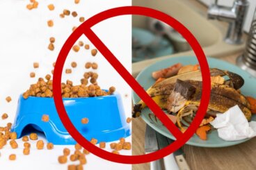 Топ 10 неща, които привличат молци и други насекоми в дома ви